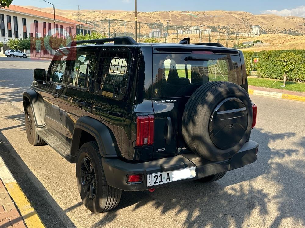 جريت وول 300